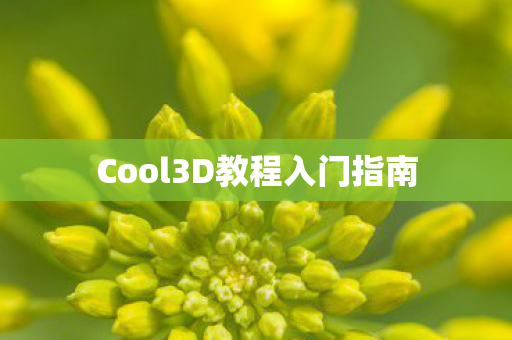Cool3D教程入门指南