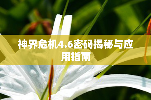 神界危机4.6密码揭秘与应用指南
