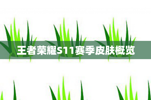 王者荣耀S11赛季皮肤概览