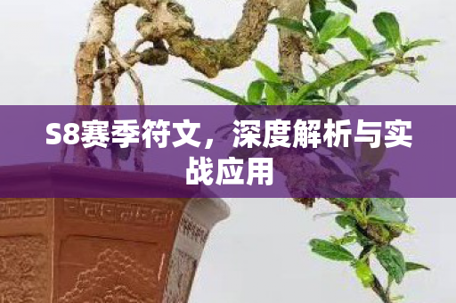 S8赛季符文，深度解析与实战应用