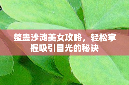 整蛊沙滩美女攻略，轻松掌握吸引目光的秘诀