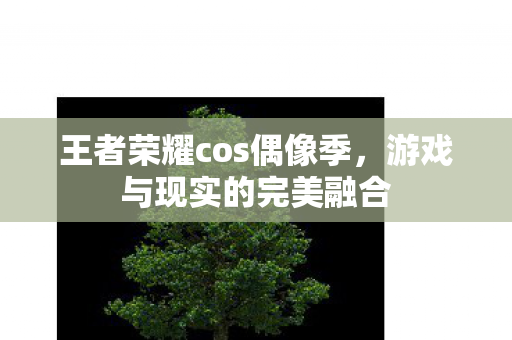 王者荣耀cos偶像季，游戏与现实的完美融合