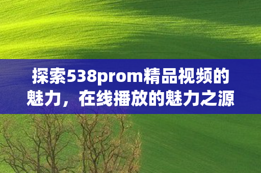 探索538prom精品视频的魅力，在线播放的魅力之源