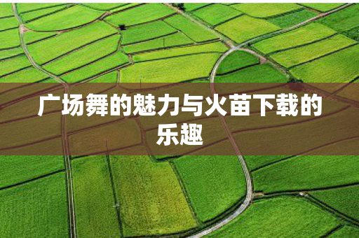 广场舞的魅力与火苗下载的乐趣