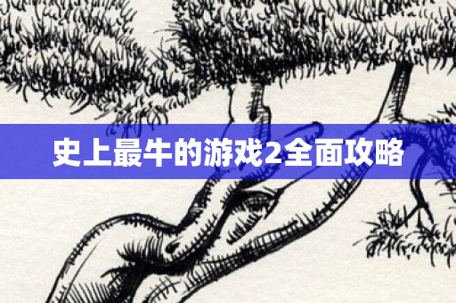 史上最牛的游戏2全面攻略