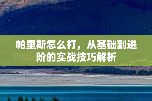 帕里斯怎么打，从基础到进阶的实战技巧解析