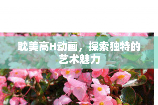 耽美高H动画，探索独特的艺术魅力