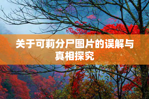 关于可莉分尸图片的误解与真相探究