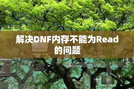 解决DNF内存不能为Read的问题
