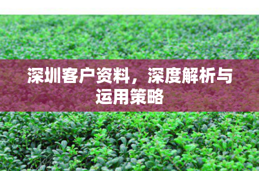深圳客户资料，深度解析与运用策略
