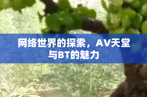 网络世界的探索，AV天堂与BT的魅力