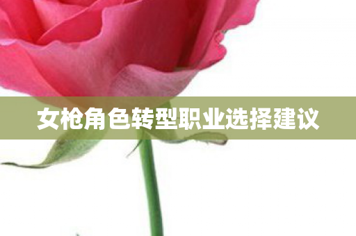 女枪角色转型职业选择建议