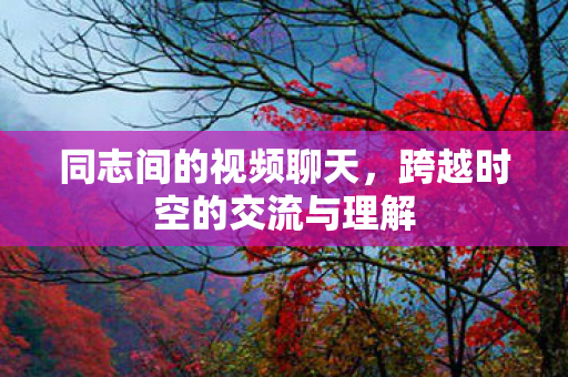 同志间的视频聊天，跨越时空的交流与理解