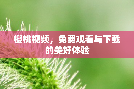 樱桃视频，免费观看与下载的美好体验