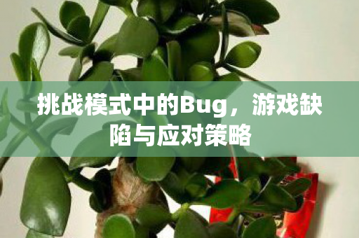挑战模式中的Bug，游戏缺陷与应对策略