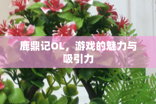 鹿鼎记OL，游戏的魅力与吸引力