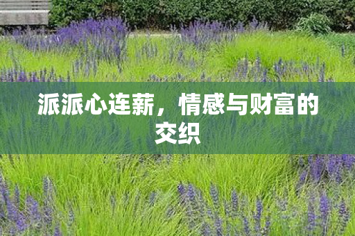派派心连薪，情感与财富的交织