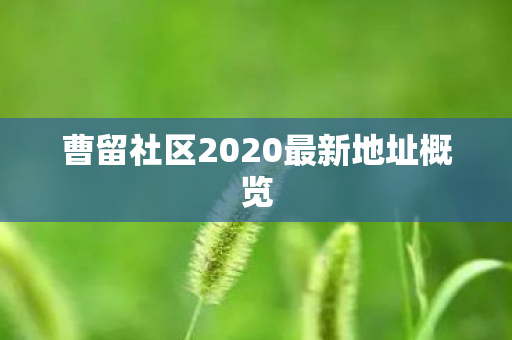 曹留社区2020最新地址概览