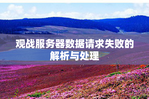 观战服务器数据请求失败的解析与处理