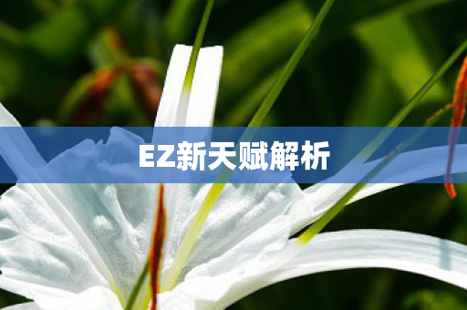EZ新天赋解析