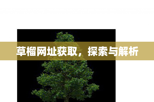 草榴网址获取，探索与解析