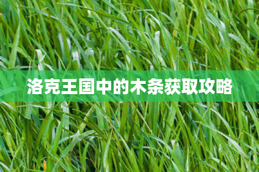 洛克王国中的木条获取攻略 洛克王国中的木条获取攻略