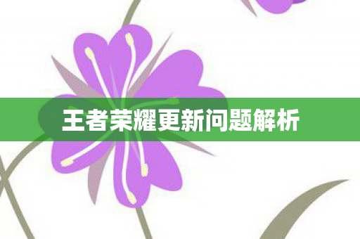 王者荣耀更新问题解析