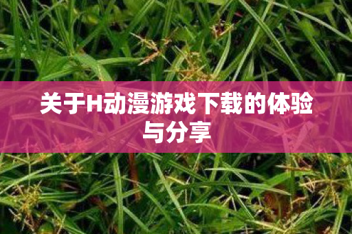 关于H动漫游戏下载的体验与分享
