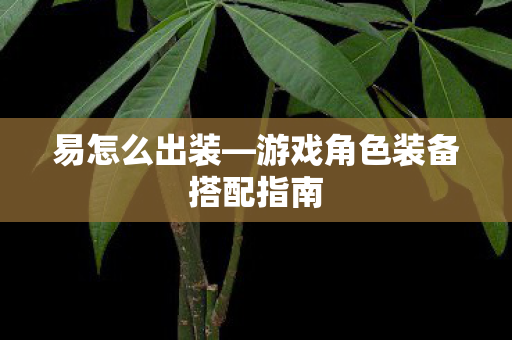 易怎么出装—游戏角色装备搭配指南
