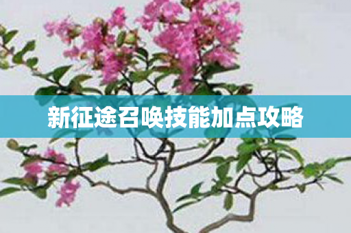 新征途召唤技能加点攻略