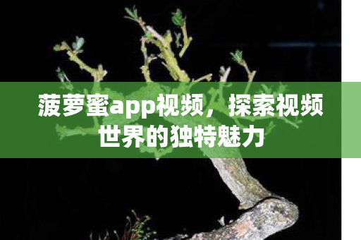 菠萝蜜app视频，探索视频世界的独特魅力