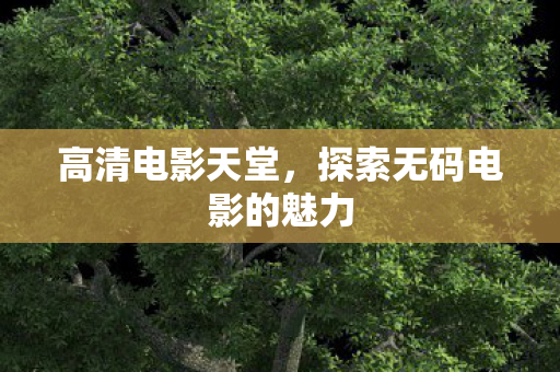 高清电影天堂，探索无码电影的魅力