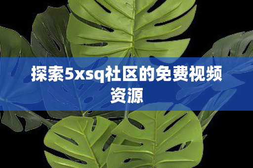 探索5xsq社区的免费视频资源