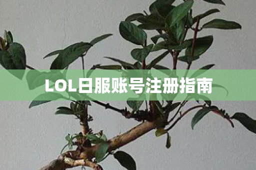 LOL日服账号注册指南