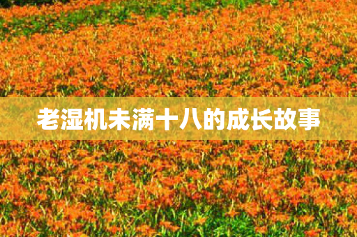 老湿机未满十八的成长故事