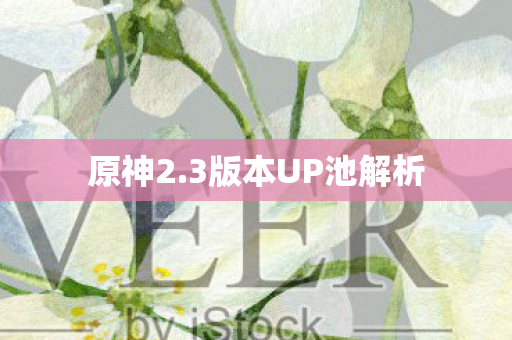 原神2.3版本UP池解析