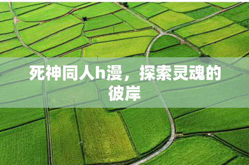 死神同人h漫，探索灵魂的彼岸