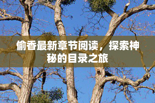 偷香最新章节阅读，探索神秘的目录之旅