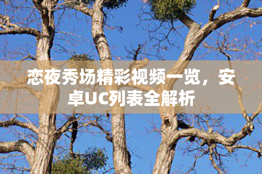 恋夜秀场精彩视频一览，安卓UC列表全解析