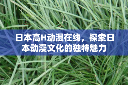 日本高H动漫在线，探索日本动漫文化的独特魅力