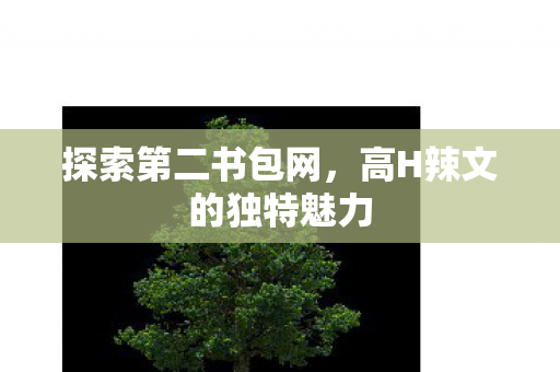 探索第二书包网，高H辣文的独特魅力