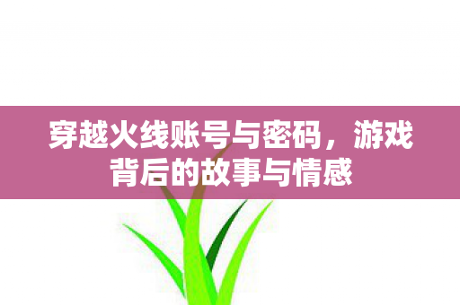 穿越火线账号与密码，游戏背后的故事与情感