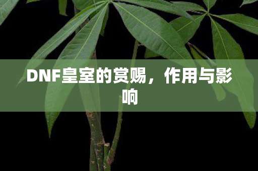 DNF皇室的赏赐，作用与影响