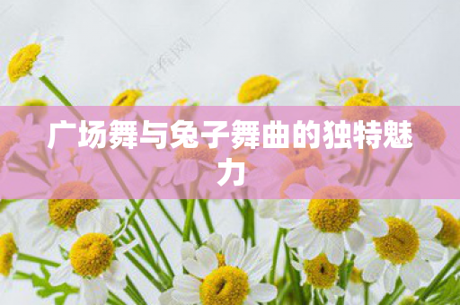 广场舞与兔子舞曲的独特魅力