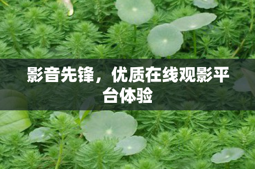 影音先锋，优质在线观影平台体验