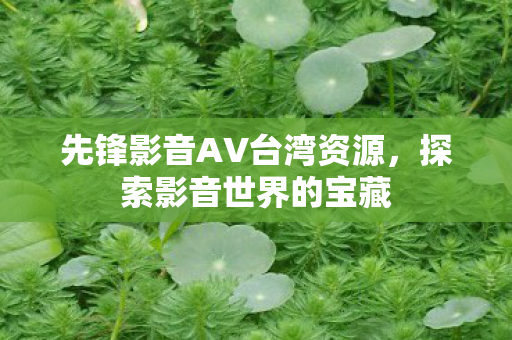 先锋影音AV台湾资源，探索影音世界的宝藏