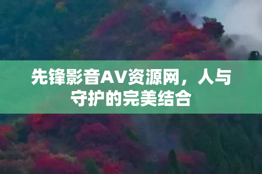先锋影音AV资源网，人与守护的完美结合