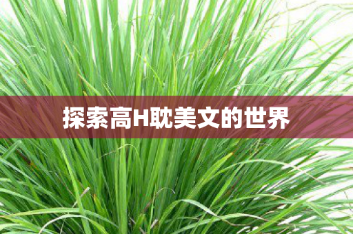 探索高H耽美文的世界