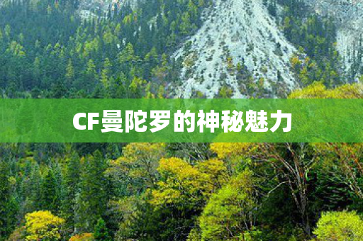 CF曼陀罗的神秘魅力