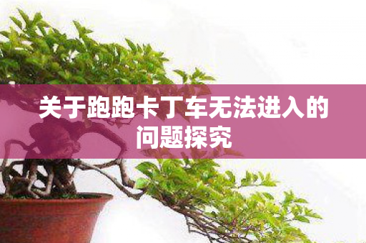 关于跑跑卡丁车无法进入的问题探究 关于跑跑卡丁车无法进入的问题探究